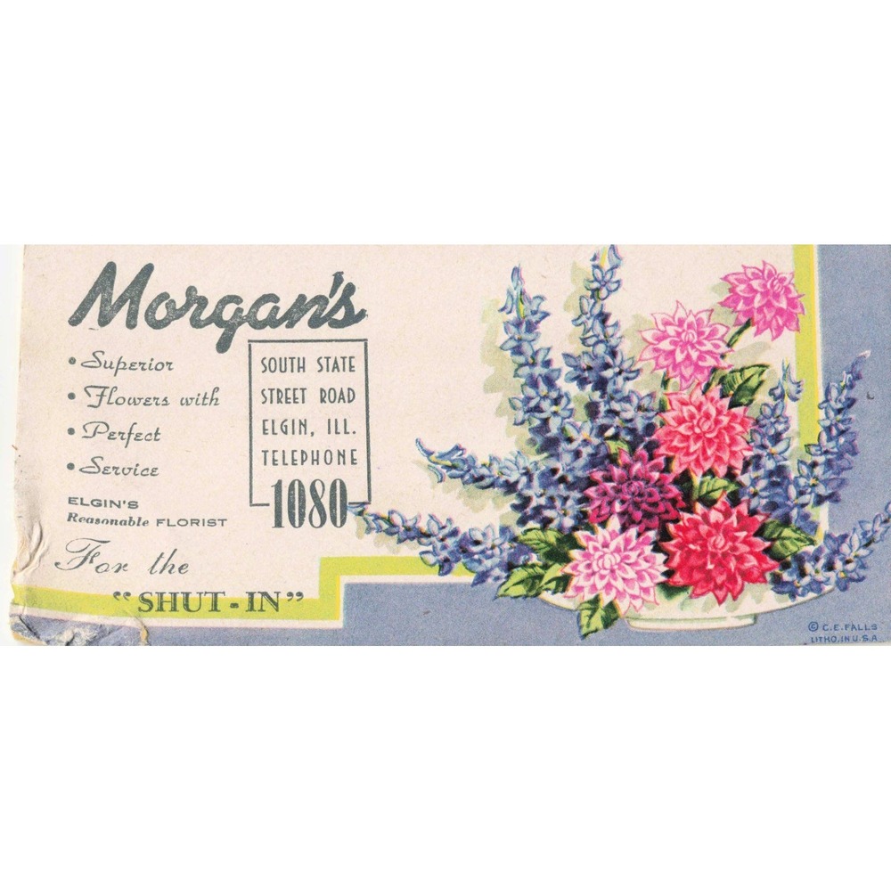 Vtg Ink Blotter Morgan's Florist Elgin Illinois Dahlias Larkspur C.E. Falls - Picture 1 of 2